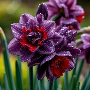 Нарцисс Минт Флер купить по цене от 2000р. в интернет-магазине «Посадика» с доставкой почтой в в Нефтекумске и по всей России – [изображение №1].