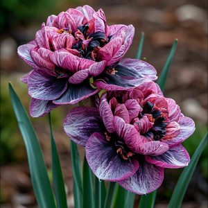 Нарцисс Моргатн Мотив купить по цене от 2000р. в интернет-магазине «Посадика» с доставкой почтой в в Нефтекумске и по всей России – [изображение №1].